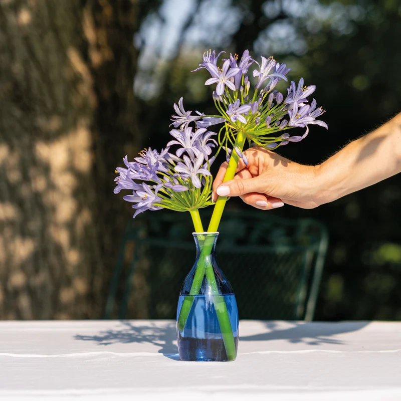 Un Fiore vaso 35