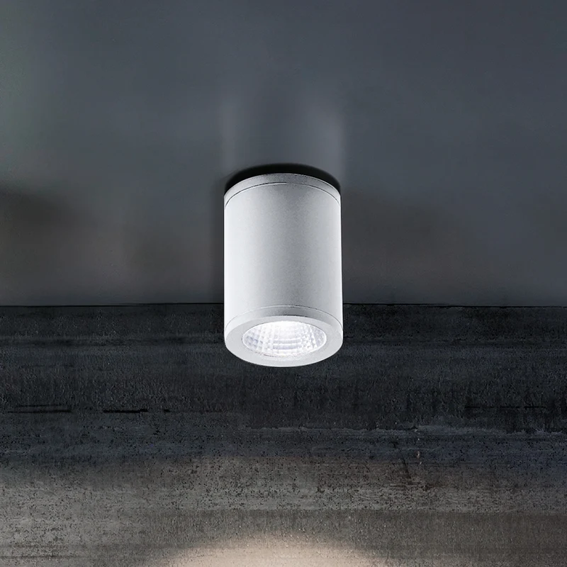 Sole lampada da soffitto