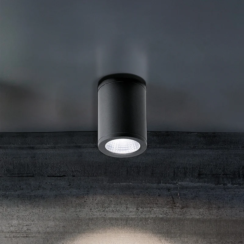 Sole lampada da soffitto