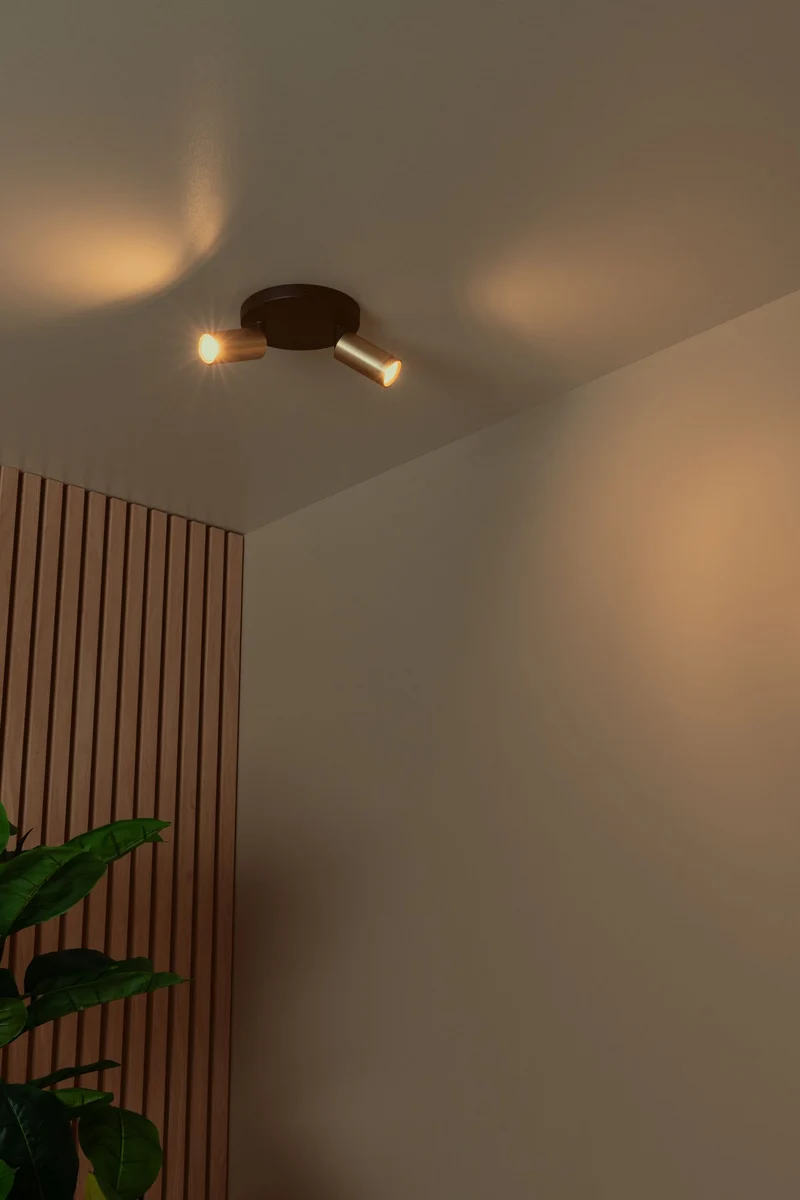 Deckenspot Ritmo 2-flammig ausrichtbar