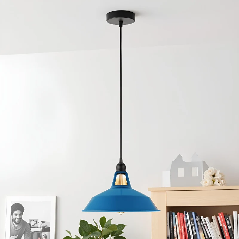 Farbige Vintage Pendelleuchte | Industriedesign E27 ~3953