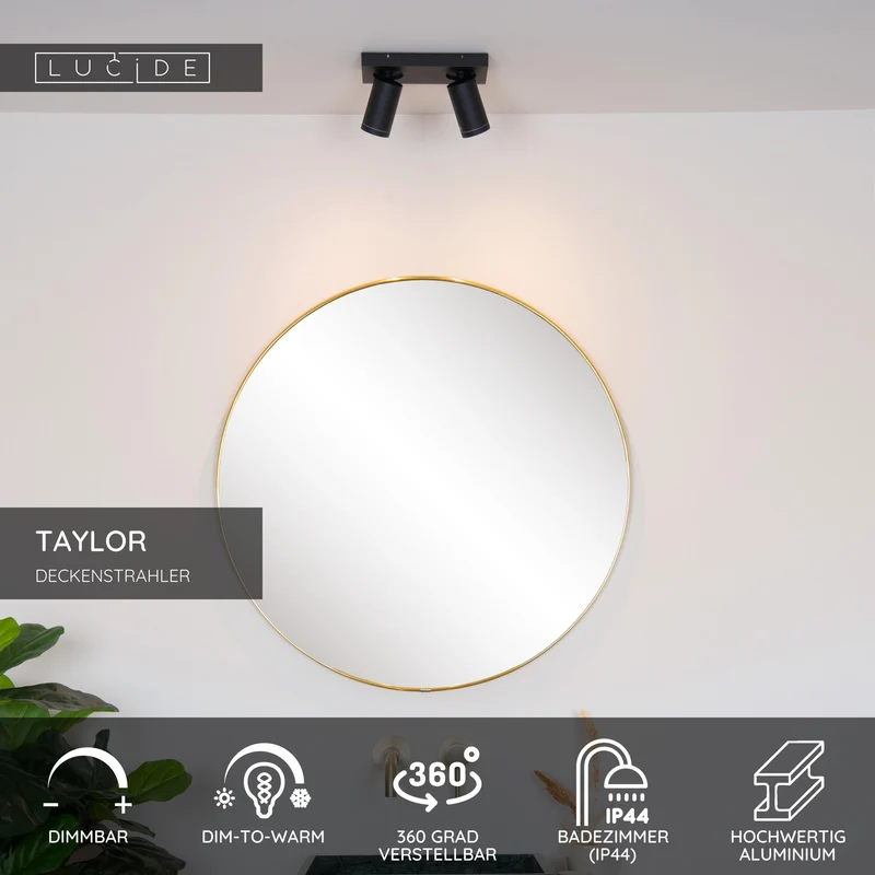 LED-Bad-Deckenstrahler Taylor 2-flammig dimmbar IP44