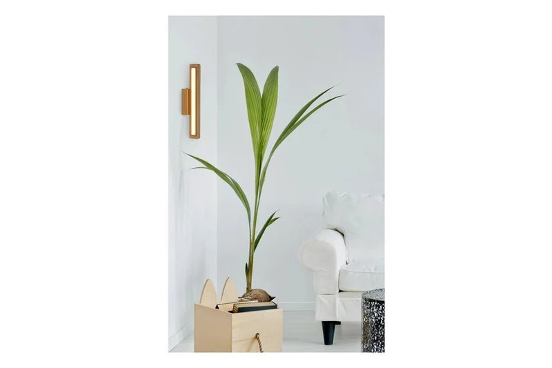 Wandlampe LED aus Holz Eiche warmweiß 35cm breite schmal Wandleuchte