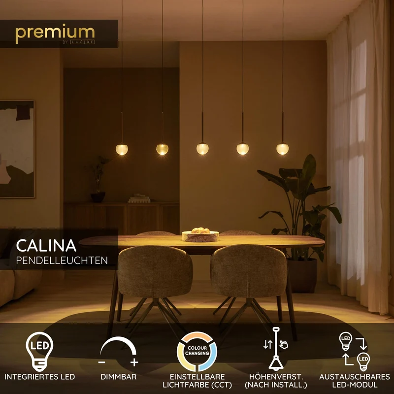 LED-Pendelleuchte Calina 5-flammig mit einstellbarer Lichtfarbe rechteckig