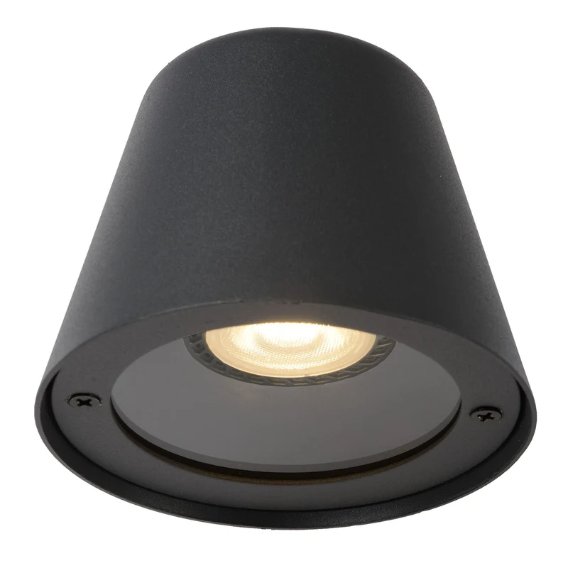 LED-Außenwandleuchte Dingo dimmbar IP44