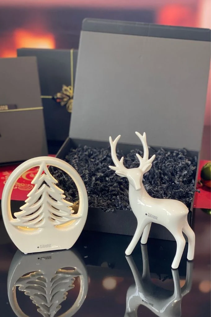 Geschenkbox Dekobaum Joya im Ring+Hirsch Riola