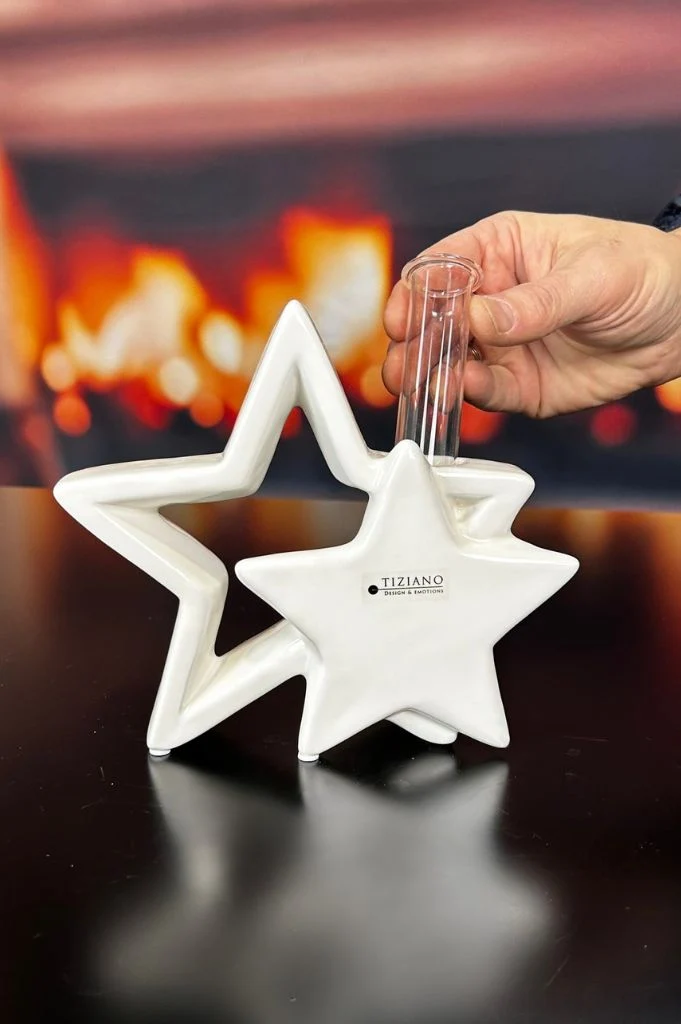 Doppelstern Ebbio 17,5cm creme-weiß mit Reagenzglas