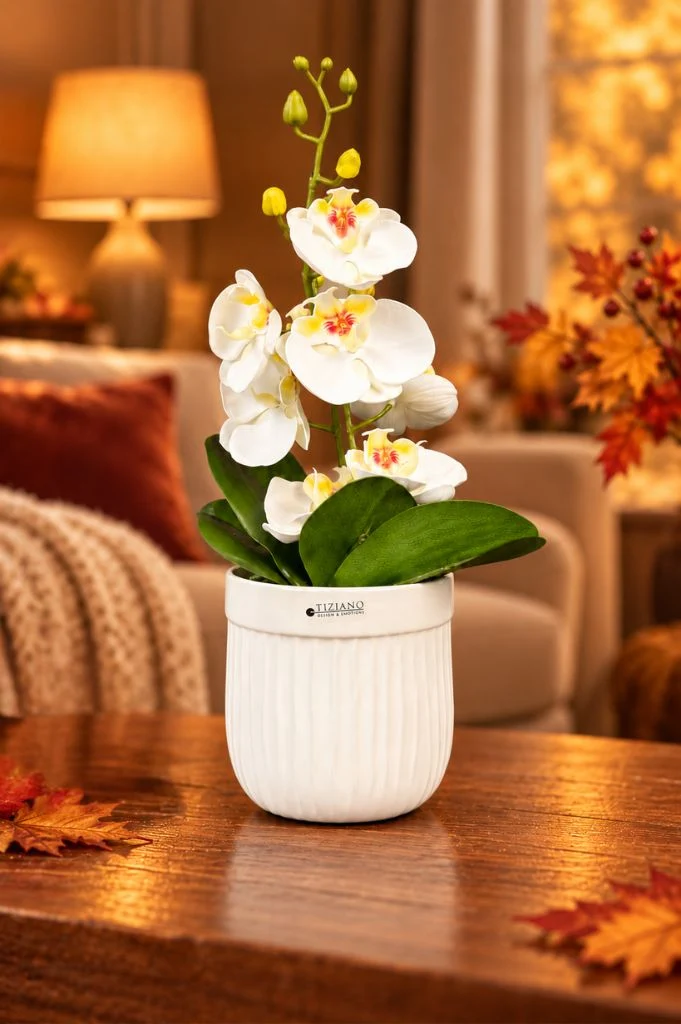Orchideenkübel Formello 13cm creme-weiß
