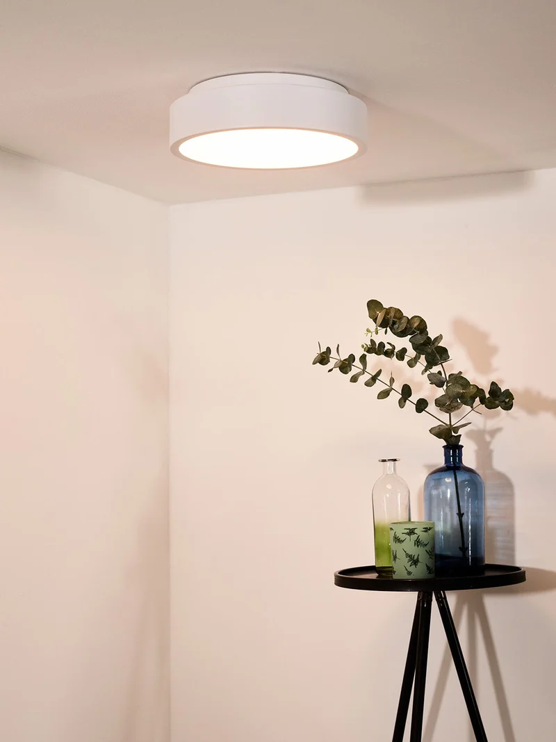 LED-Deckenleuchte Talowe dimmbar Weiß Ø 30cm