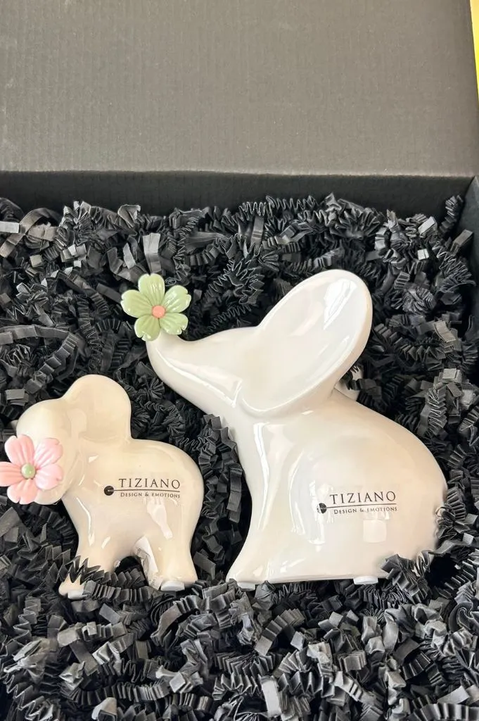 Geschenkbox Leon sitzend mit grüner Blume und stehend rosa