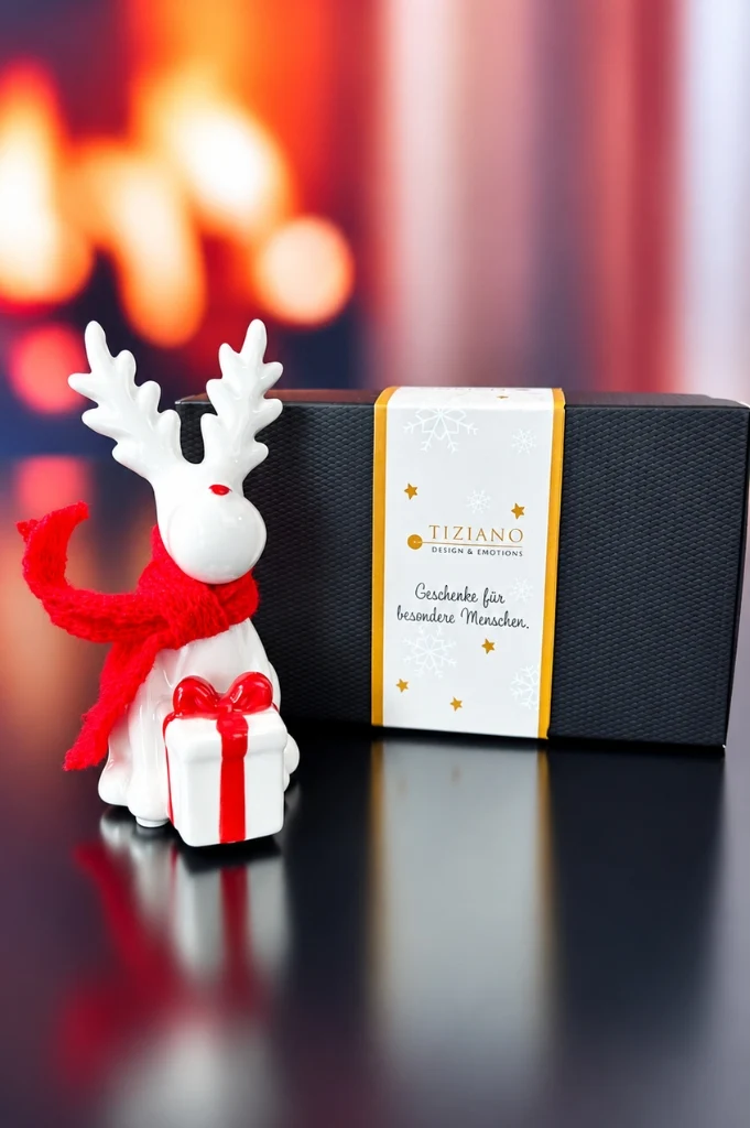 2er Set Rentier Rudolph mit Geschenk rot in Geschenkbox