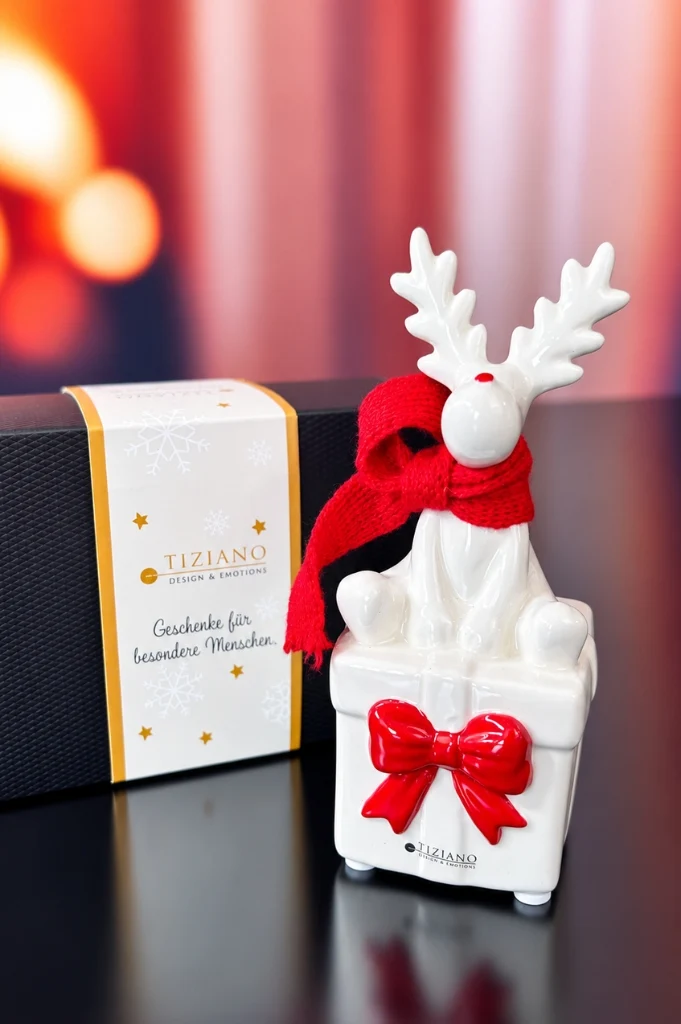 2er Set Rentier Rudolph mit Geschenk rot in Geschenkbox