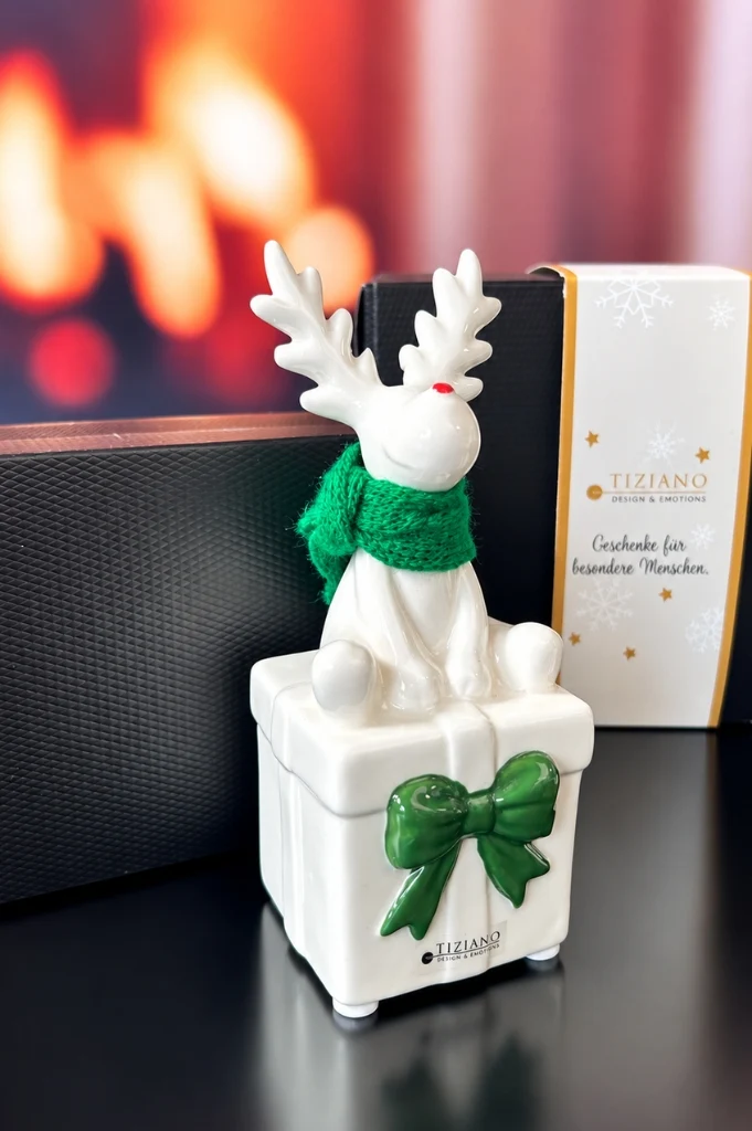 Deko Rentier Rudolph mit Geschenk grün in Geschenkbox