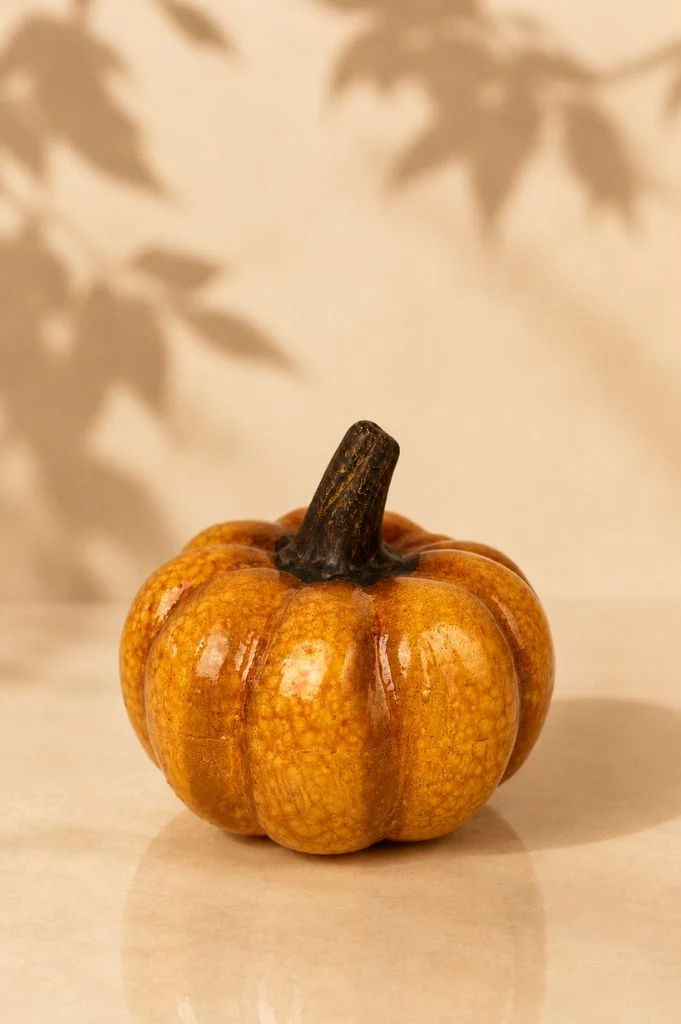 Deko Kürbis Herbstzeit orange