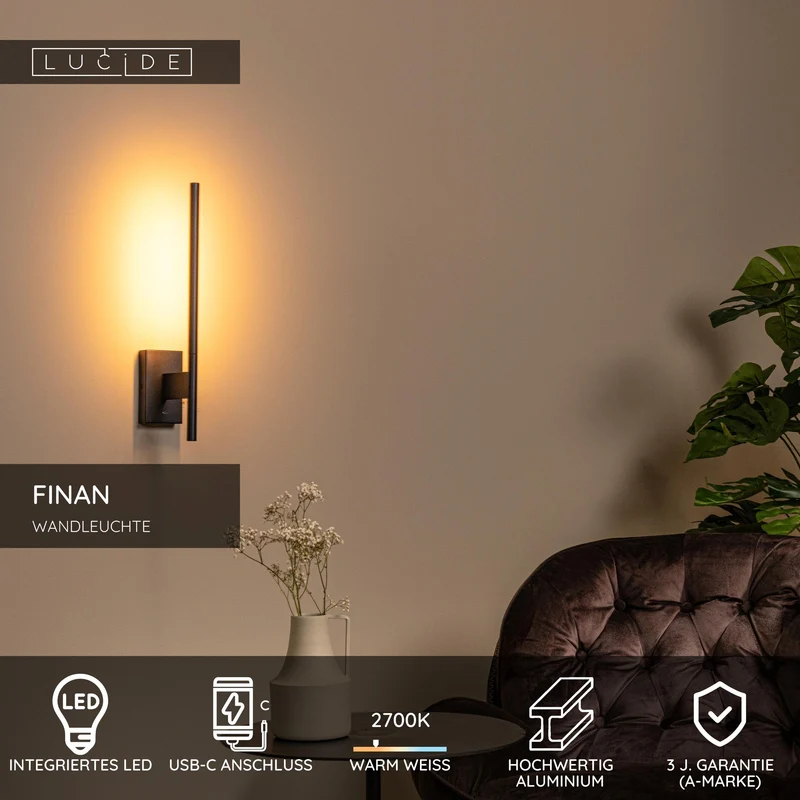 LED-Wandleuchte Finan mit USB-Ladeanschluss Schwarz 48cm