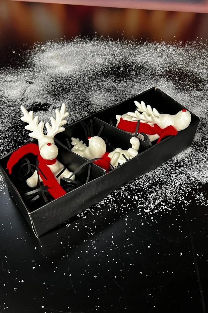 3er Set Rudolph in Geschenkverpackung