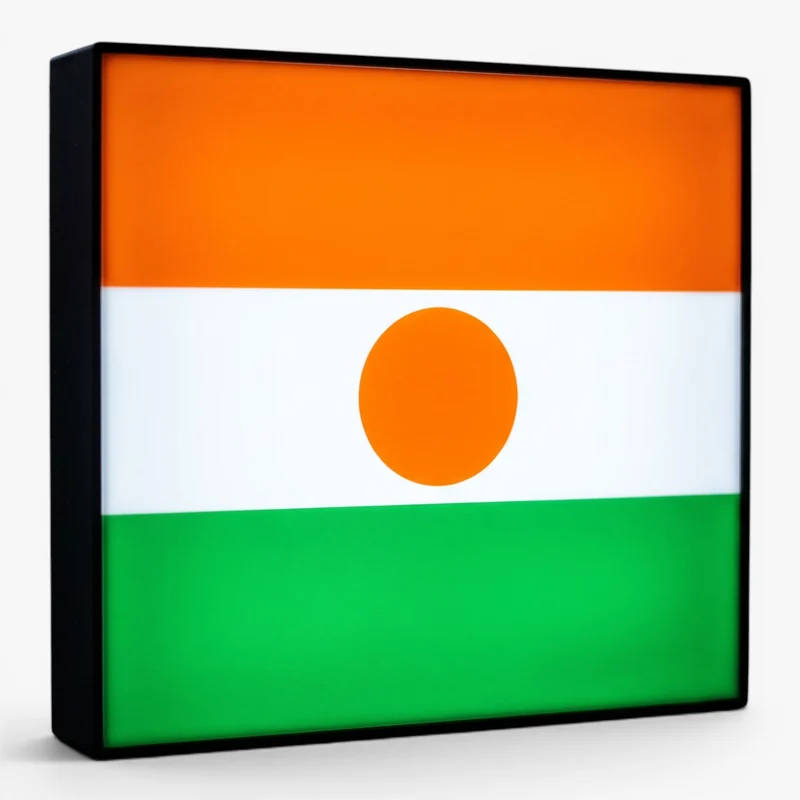 Niger Flagge Lampe