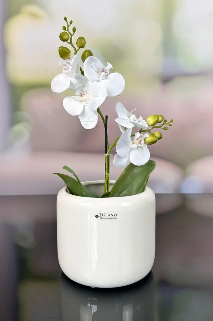 Orchideenkübel Bellagio 14cm creme-weiß