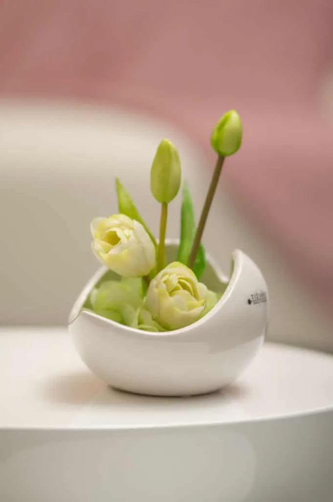 Schale Porto 17cm creme-weiß