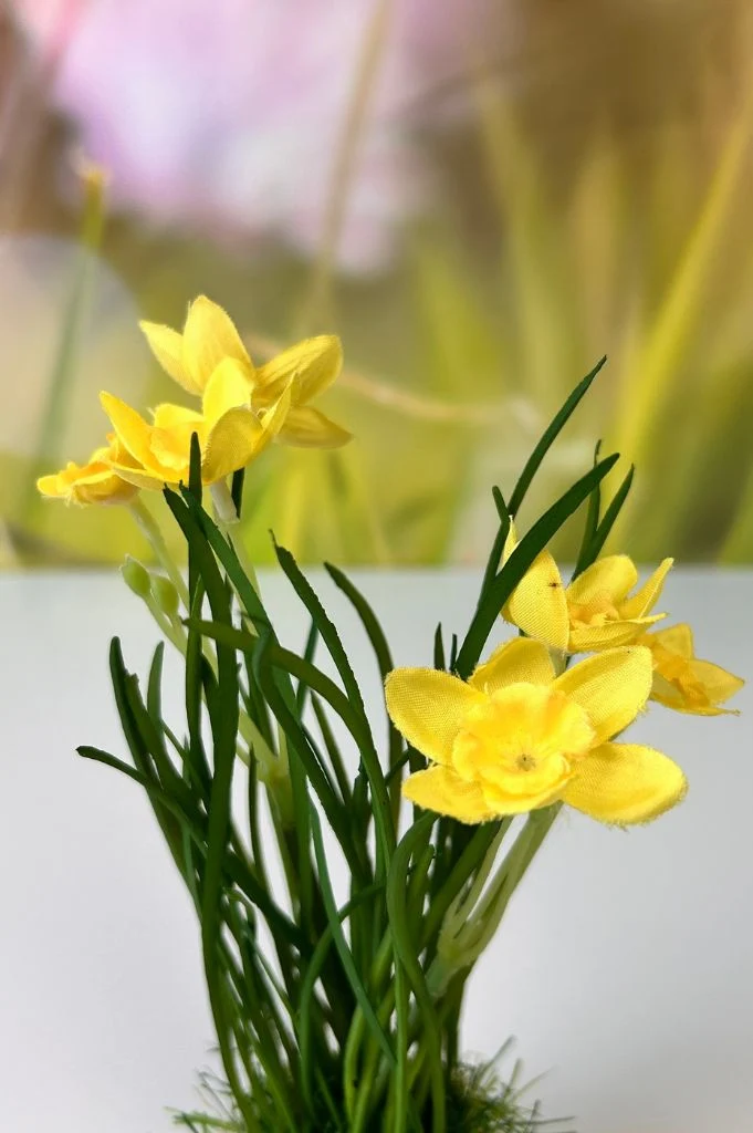 Frühlingsblüher gelb auf Grassockel