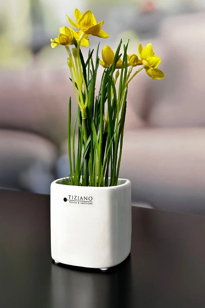 Frühlingsblüher gelb auf Grassockel