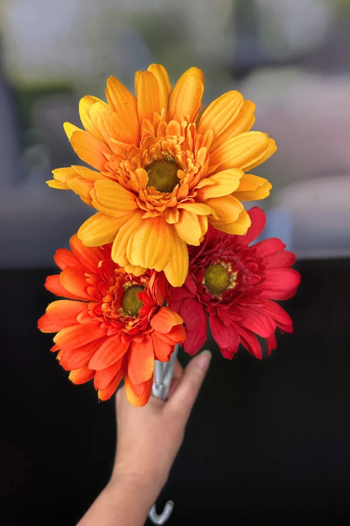 Dekoblume Gerbera rot (amarant)