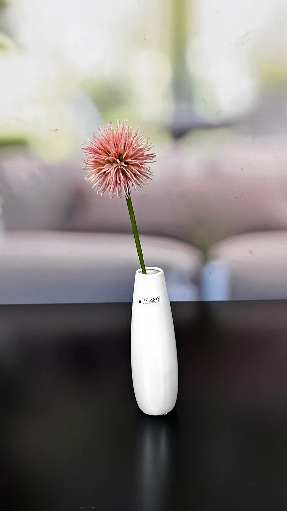 Allium orange