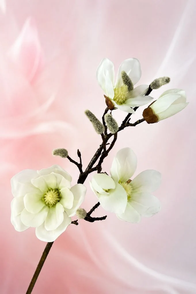 Magnolienzweig 88cm weiß