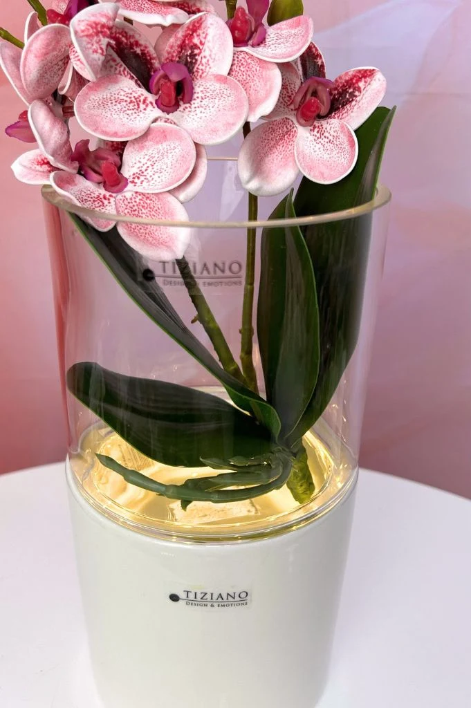 Dekoset Windlicht Laterna mit Orchidee pink