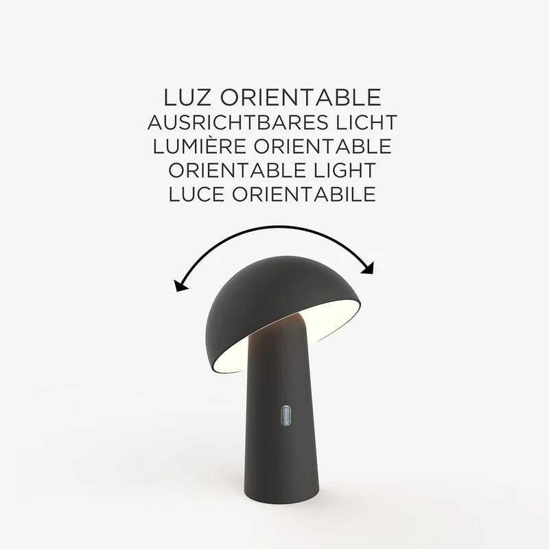 Schnurlose dekorative Lampe SHITAKE