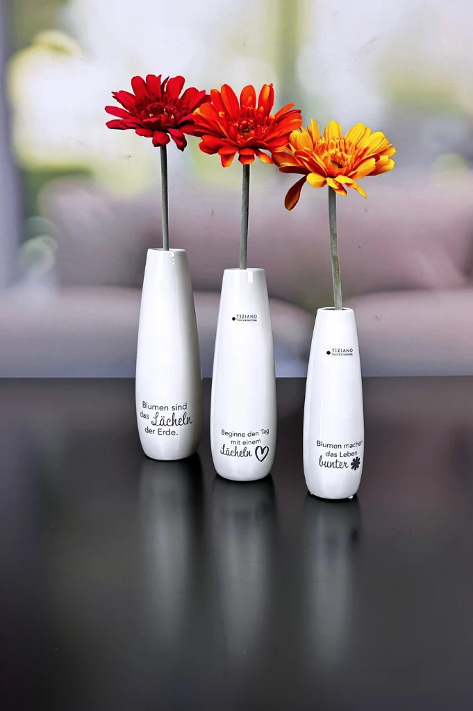 Vase Manioli 22cm Beginne...