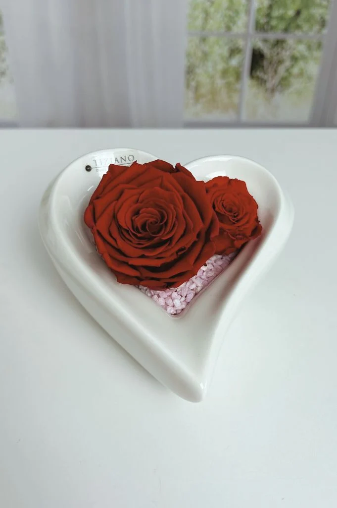 Dekoset Schale Cuora tief + Infinity Rosen rot