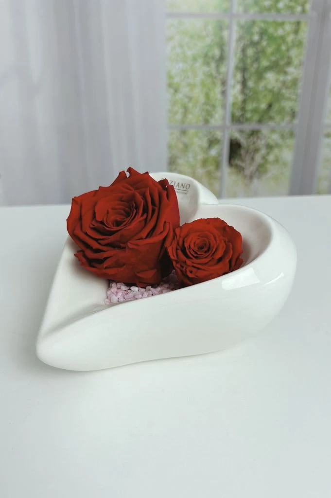 Dekoset Schale Cuora tief + Infinity Rosen rot