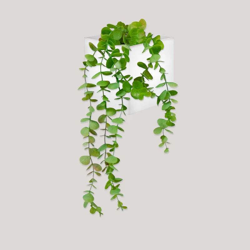 Wally Pot Wandpflanzer
