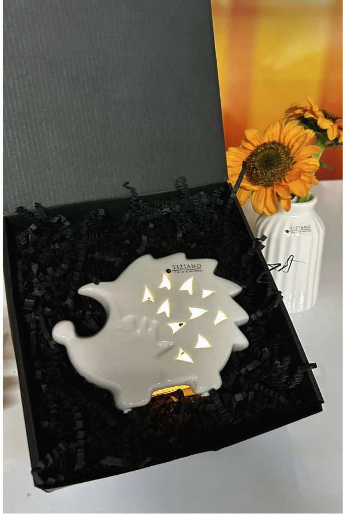 Geschenkbox LED Igel Salimbo