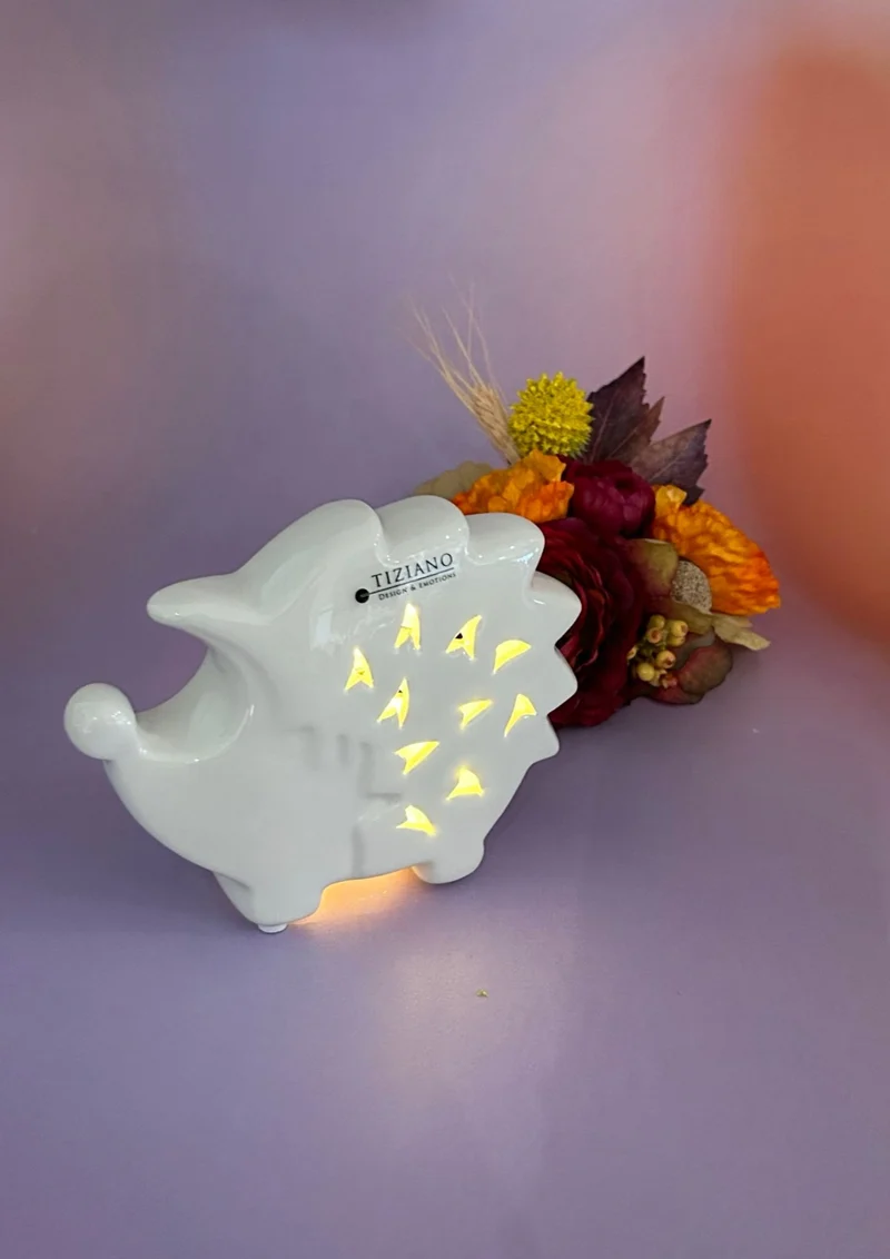 Geschenkbox LED Igel Salimbo