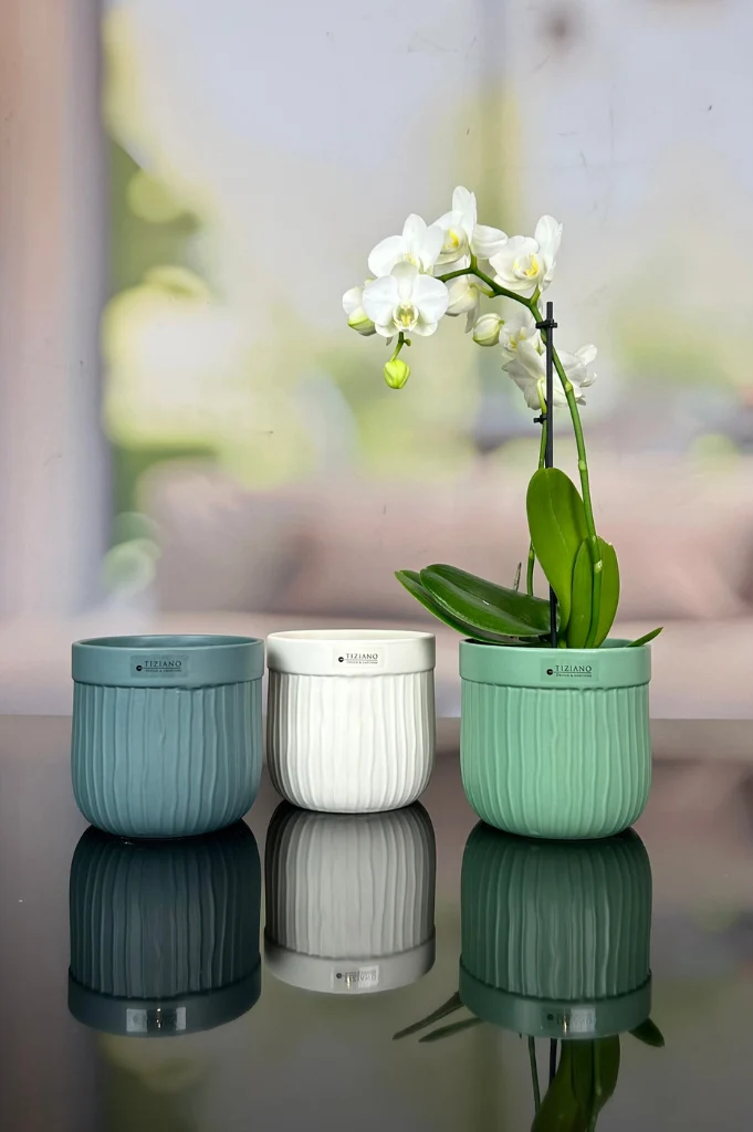 Orchideenkübel Formello in 3 Farbvarianten matt
