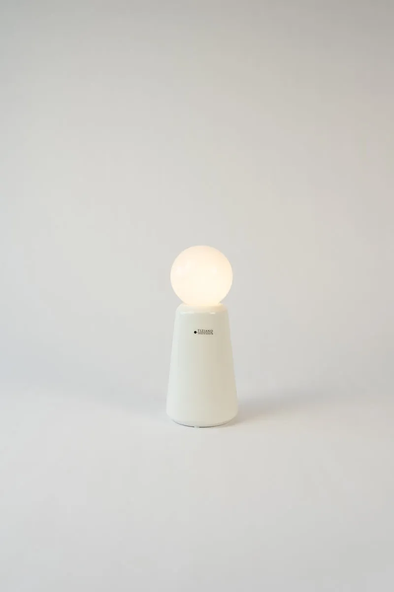 Dekoset Vogel Splendido L+Vase Luminara mit LED Birne