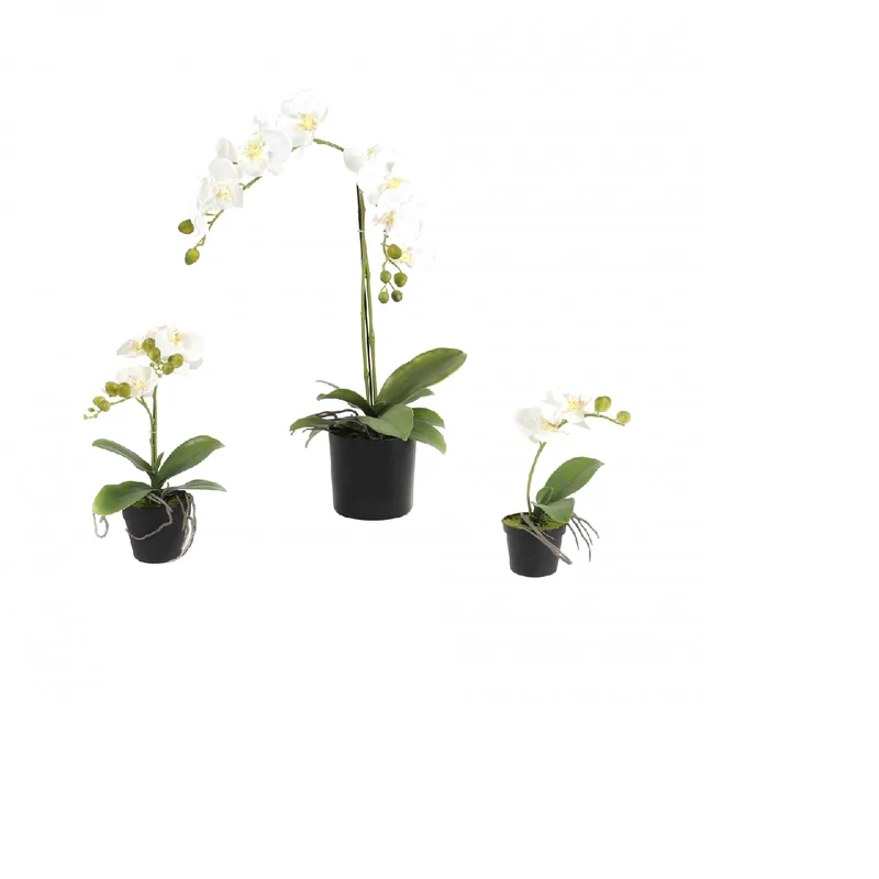 Deko Orchidee weiß im Topf mit Blatt+Wurzel