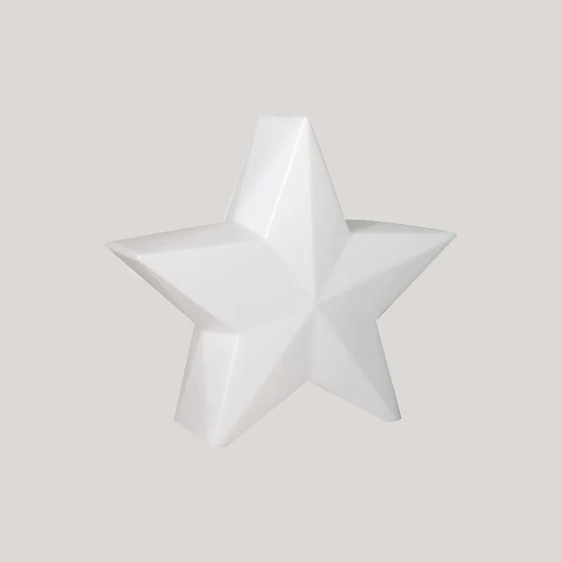 WEIHNACHTSSTERN Nova 45