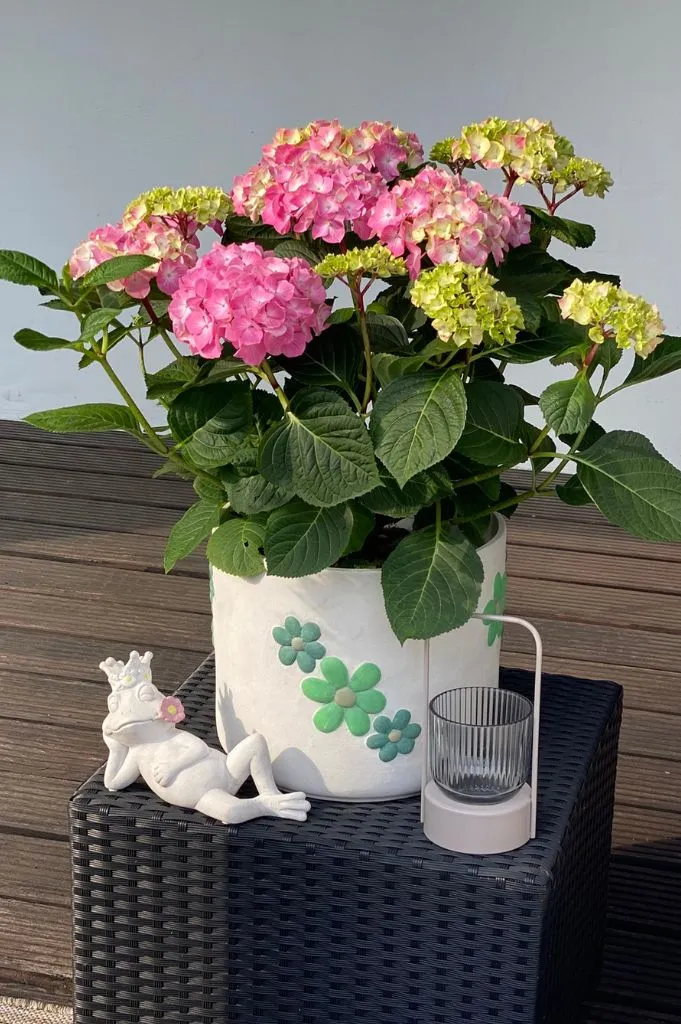 Kübel Villa rustik mit grünen Blumen große Größen