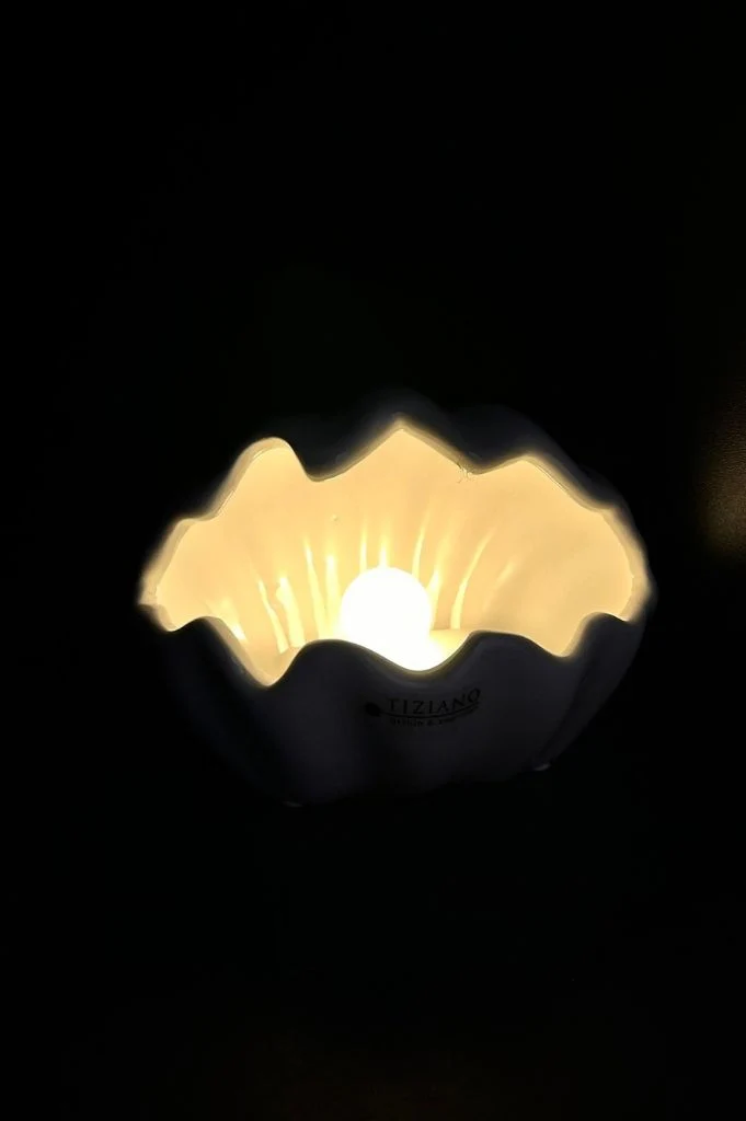 Muschel Salino LED farblich sortiert