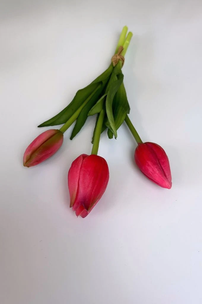 Deko Tulpen 3er Bund Sally 25cm beauty