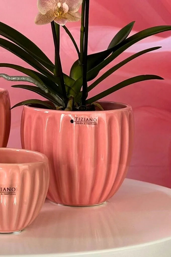 Kübel Prisma hellrosa & dunkelrosa