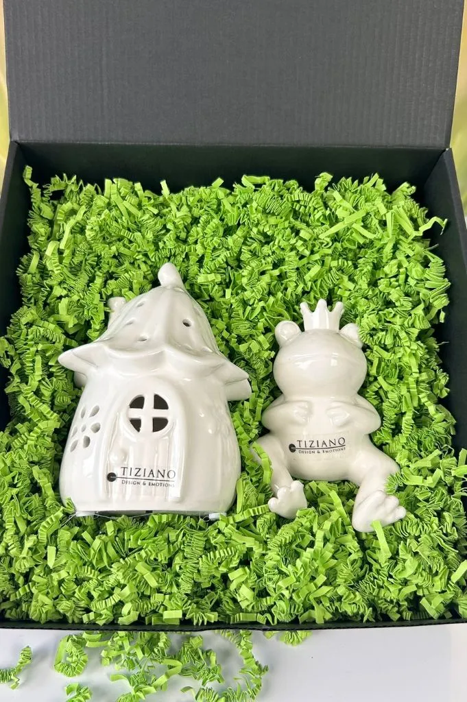 Geschenkbox M Frosch Vico liegend+Haus Solina LED