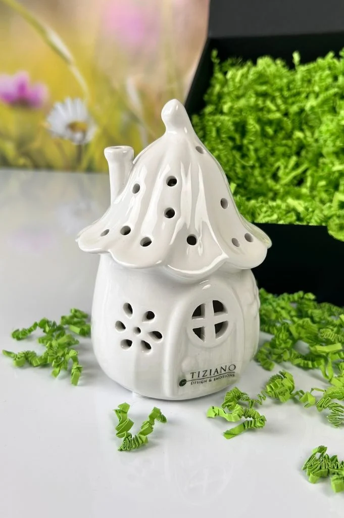Geschenkbox M Frosch Vico liegend+Haus Solina LED