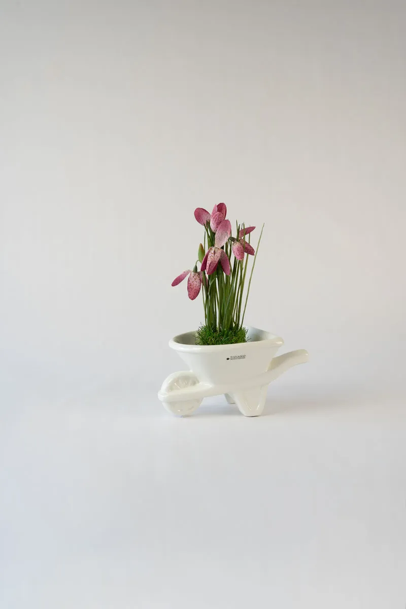 Dekoset blumige Zwergenidylle rosa