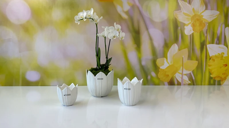 Kübel Tolina creme-weiß