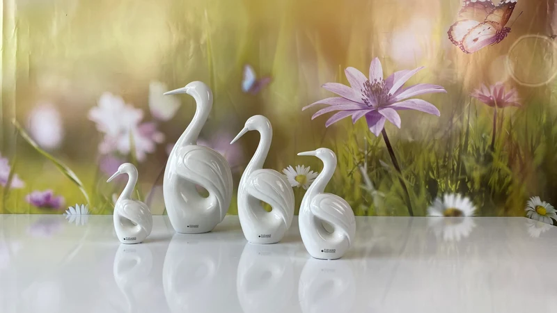 Vogel Splendido creme-weiß