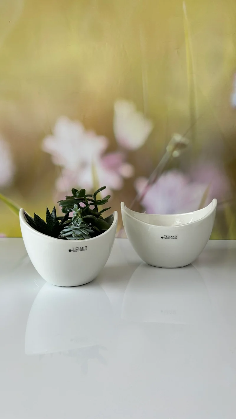Schale Arco creme-weiß